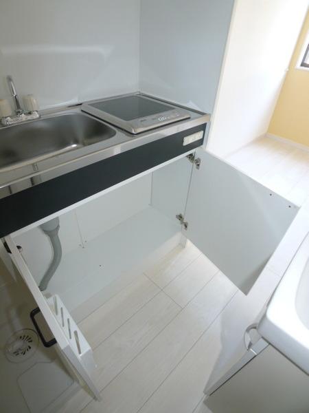 リージェンシー上板橋（301） 部屋画像