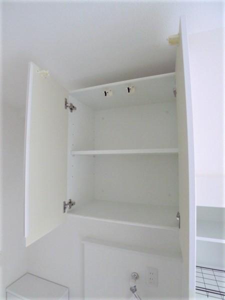 リージェンシー上板橋（301） 部屋画像