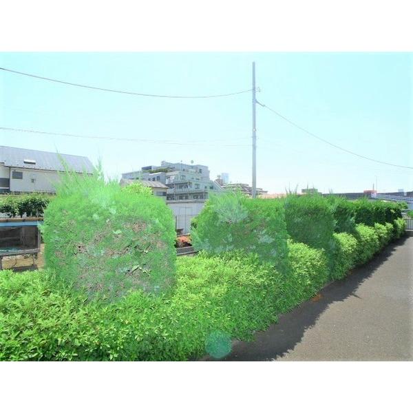 ドミールＫ（B101） 部屋画像