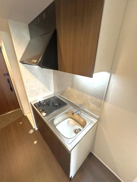 プロスタイルウェルス東武練馬（401） 部屋画像