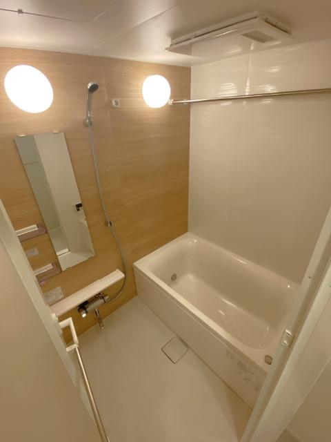 パークアクシス成増二丁目（904） 部屋画像