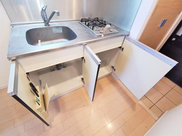 ＴＨＥパームス東武練馬（503） 部屋画像