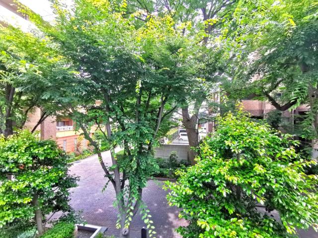 D-Sereno志木幸町（302） 部屋画像