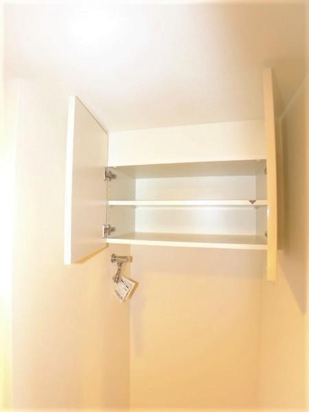 パークアクシス赤塚（705） 部屋画像