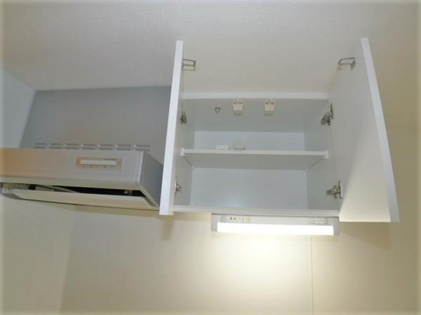MAXIV成増DUE（201） 部屋画像