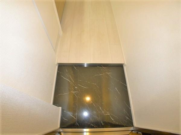 MAXIV成増DUE（201） 部屋画像