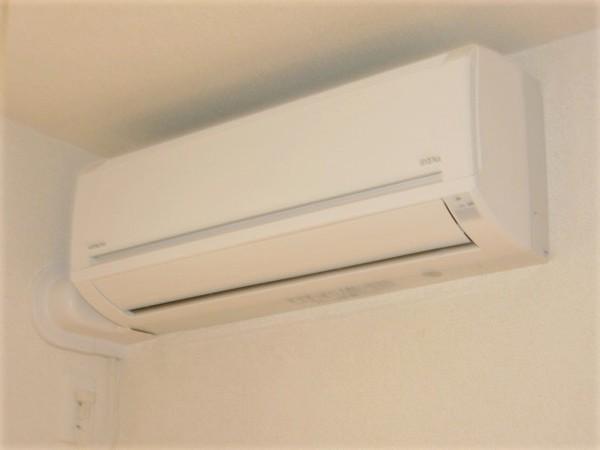 プルメリアC（105） 部屋画像
