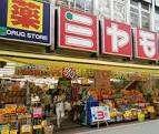 ミヤモト薬局新成増店：596m