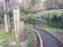 旭町はんの木緑地：1118m