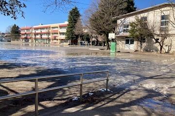 朝霞市立朝霞第一小学校：1196m