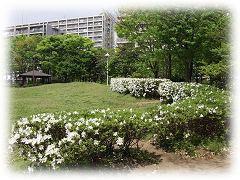 館近隣公園：1806m