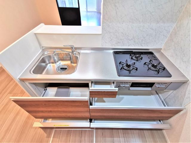 アンジュール徳丸Ａ棟（102） 部屋画像