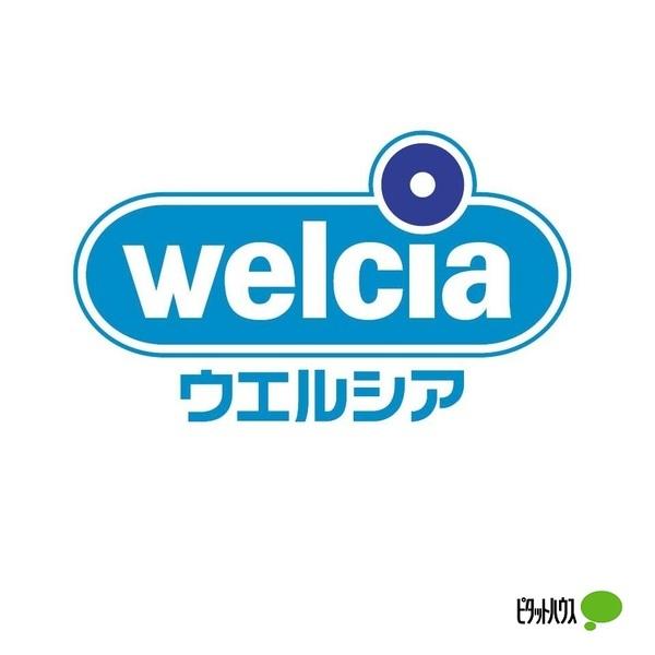 ドラックストア