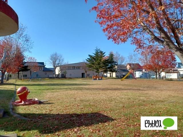 公園：3m