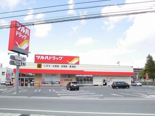 ツルハドラッグ：650m