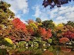 もみじ公園：450m