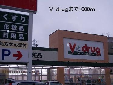 Ｖ・ｄｒｕｇ：1000m