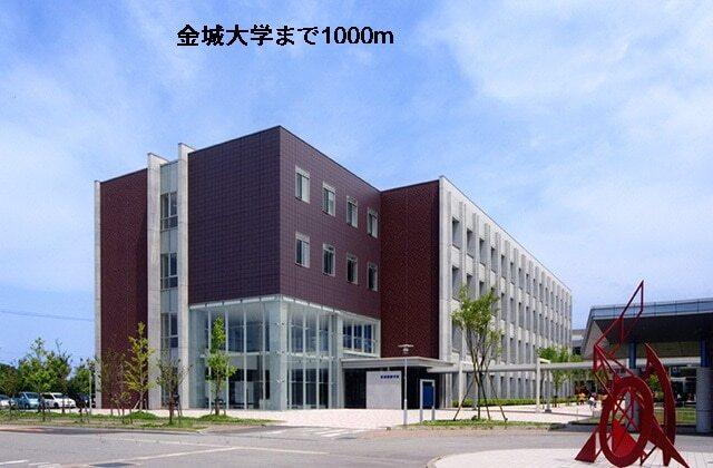 金城大学：1000m