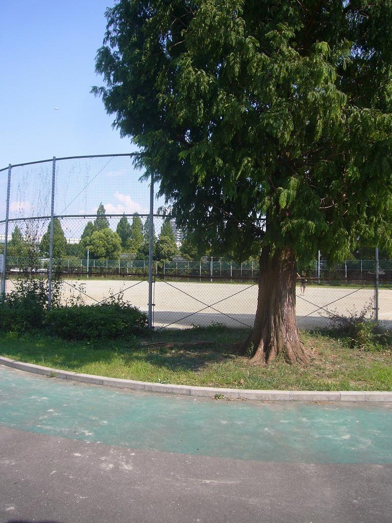 長柄東公園：784m