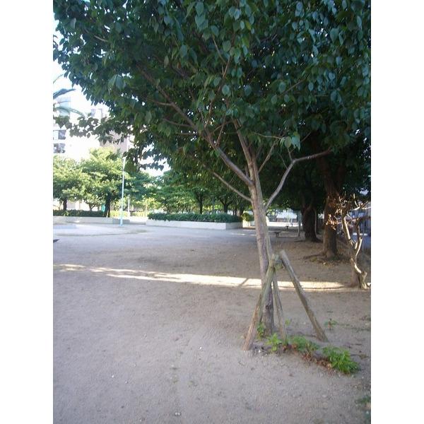 南天満公園：872m