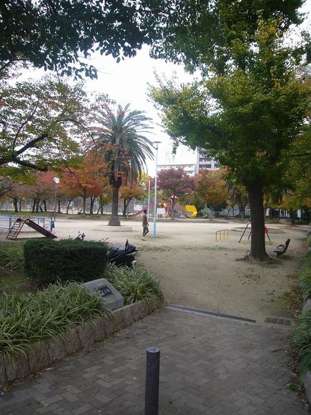 本庄公園：245m