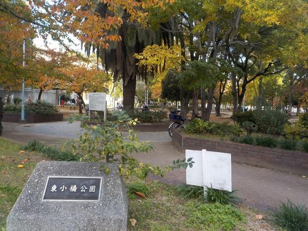 東小橋公園：461m