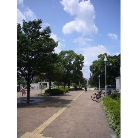クレヴィア大阪同心ウエスト 周辺環境写真9 扇町公園：737m