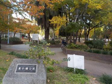 東小橋公園：1038m