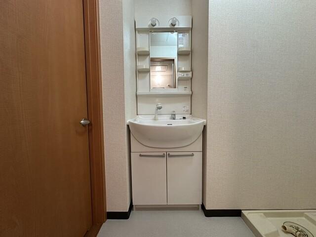 パセオ御堂町（201） 洗面