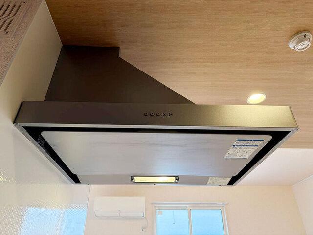 ヴィエン南田辺（301） 部屋画像