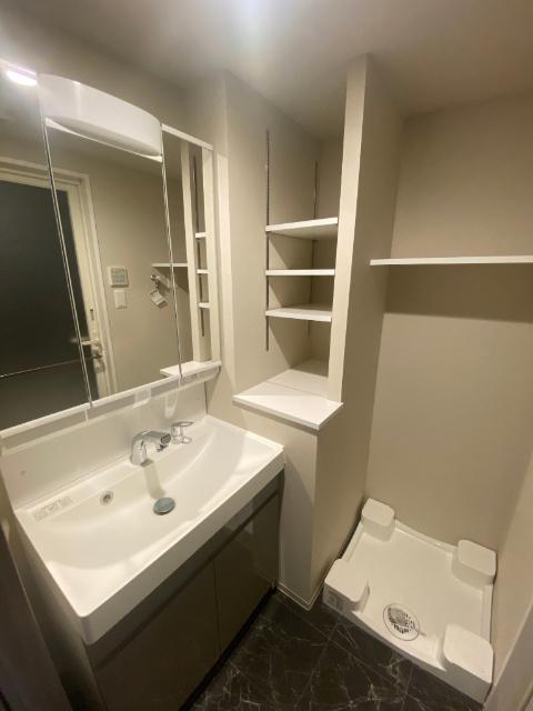 S-RESIDENCE天満橋ar（602） 洗面