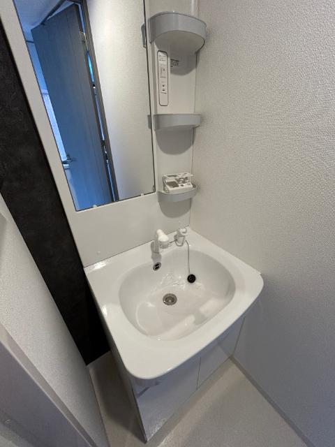 S-RESIDENCE谷町五丁目 洗面