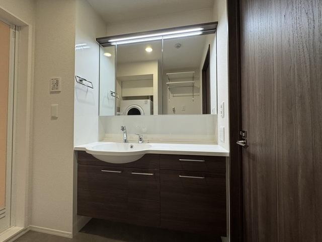 D-ROOM御厨中（301） 洗面