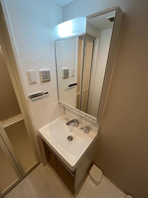 S-RESIDENCE高井田beleta（1003） 部屋画像