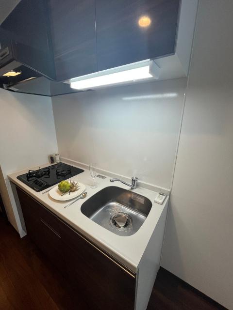 SK TRUST BLD（1202） キッチン