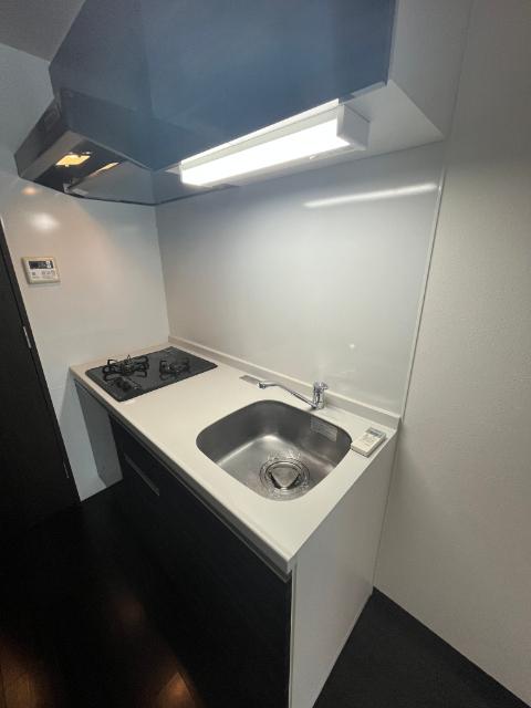SK TRUST BLD（901） キッチン