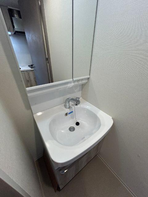 プレサンス緑橋ソレアス 洗面