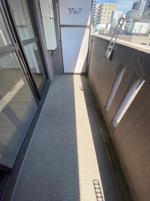 メゾンフジオ紅梅町（302） 庭