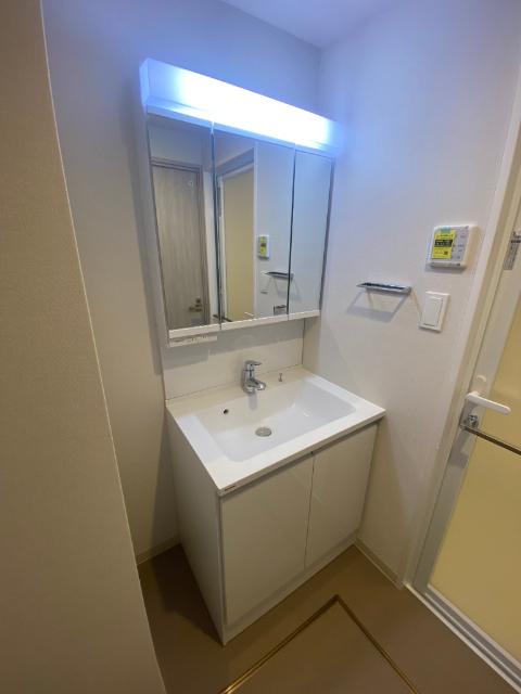 エクシアテラス梅田（702） 洗面