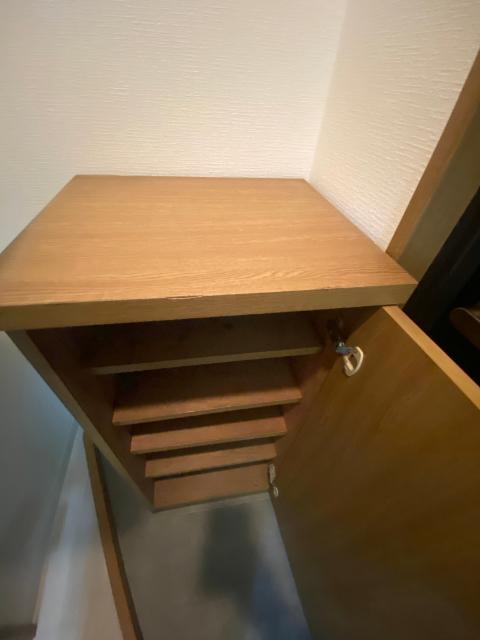 アバンダンス天神橋（601） 玄関