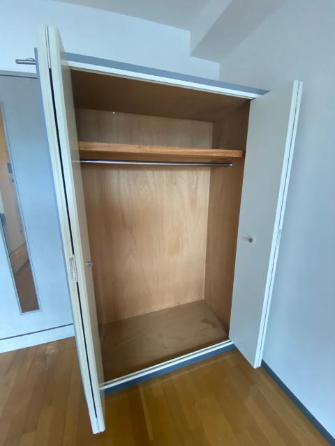 パークヴュー北梅田（903） 収納