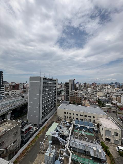 グランカーサ高井田 眺望