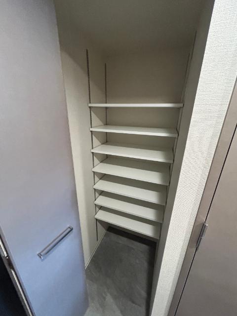 プレサンス緑橋ソレアス 玄関