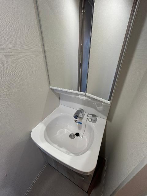 プレサンス緑橋ソレアス 洗面