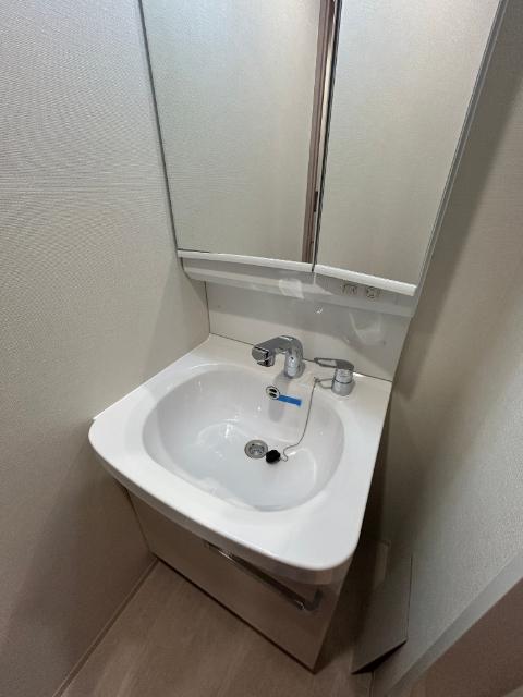 プレサンス緑橋ソレアス 洗面