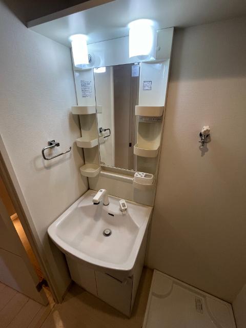 セイワパレス玉造上町台 洗面