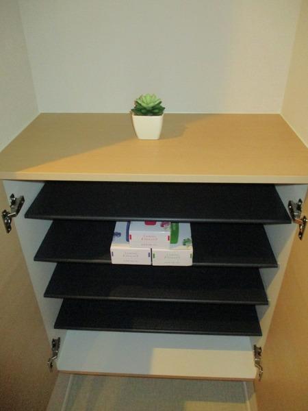 ハイデンス梅ヶ枝（1102） 部屋画像