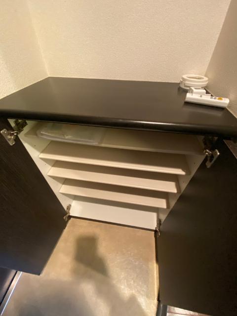 ライジングコート梅田サンライズ（401） 玄関