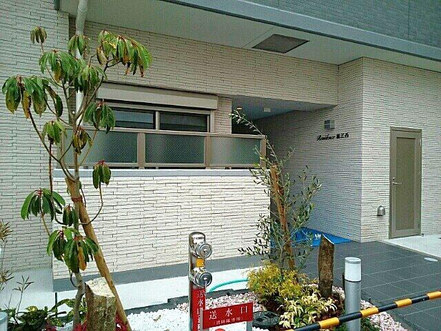 レジデンス　堀江西（803） エントランス