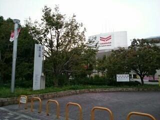 長居公園：900m